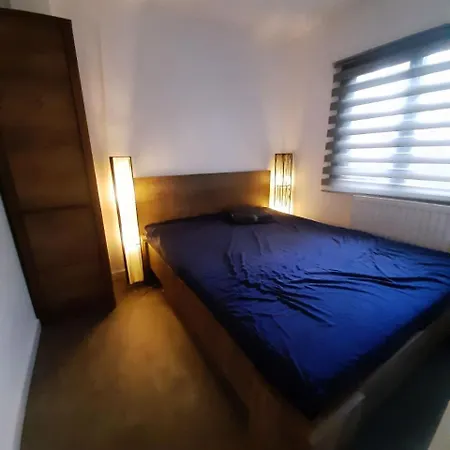 Mooie Bij Het Bos In De Buurt *