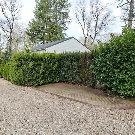 Mooie Bij Het Bos In De Buurt Voorthuizen