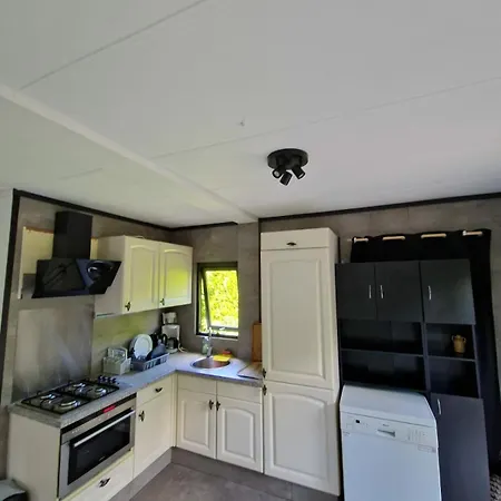 Mooie Bij Het Bos In De Buurt