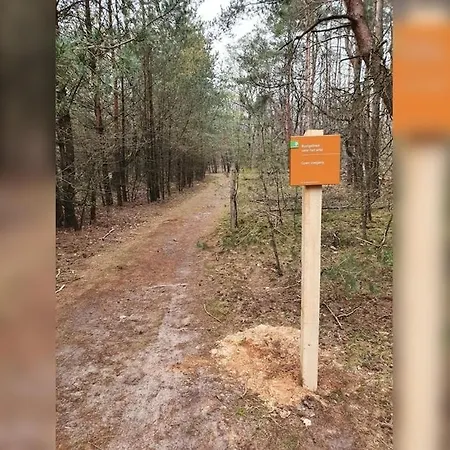 Mooie Bij Het Bos In De Buurt Voorthuizen