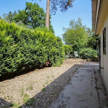 Mooie Bij Het Bos In De Buurt Voorthuizen