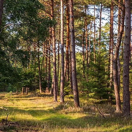 Casa vacanze Mooie Bij Het Bos In De Buurt Voorthuizen
