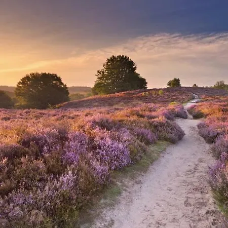 Mooie Bij Het Bos In De Buurt Casa vacanze