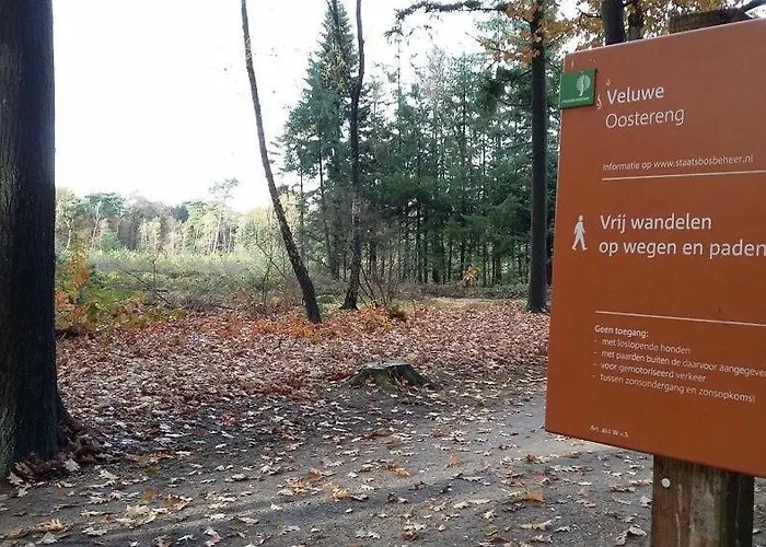 Mooie Bij Het Bos In De Buurt Semesterbostad *