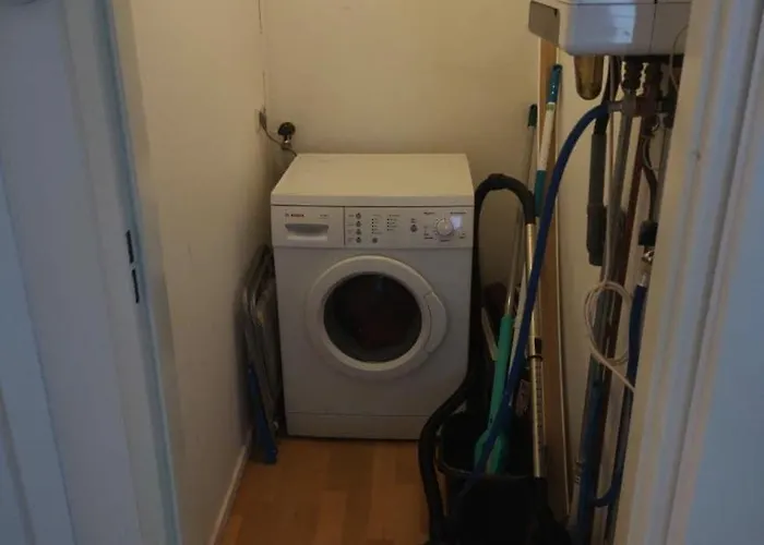 Mooie Bij Het Bos In De Buurt