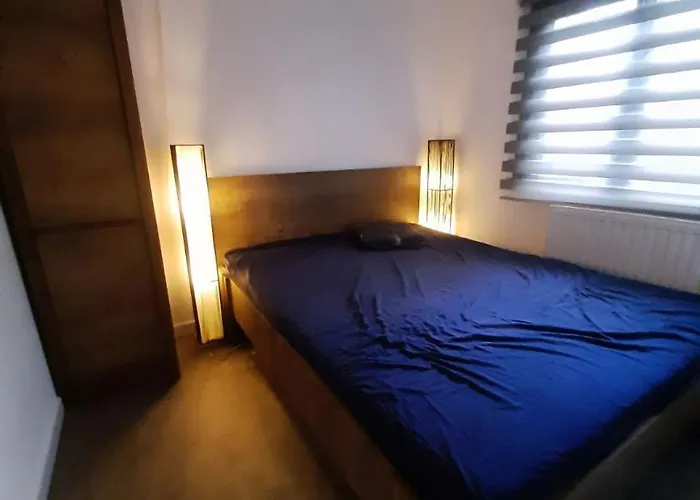 Mooie Bij Het Bos In De Buurt *