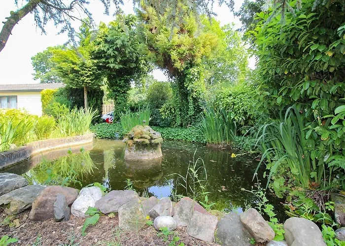 Mooie Bij Het Bos In De Buurt Voorthuizen