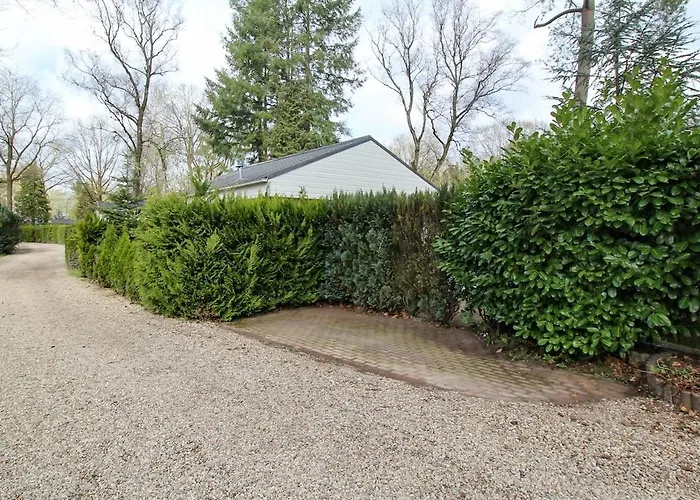 Mooie Bij Het Bos In De Buurt Voorthuizen