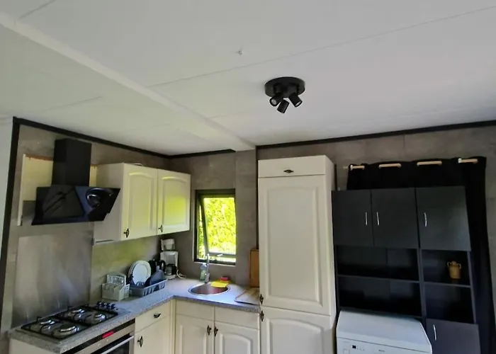 Mooie Bij Het Bos In De Buurt