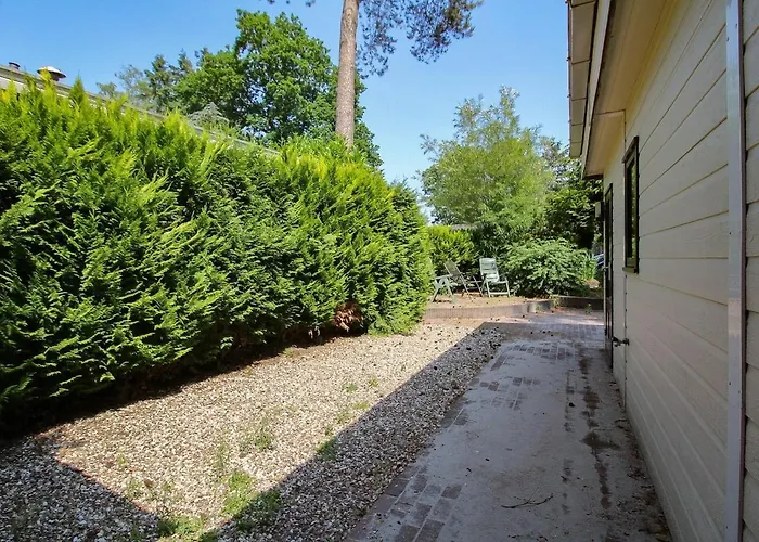 Mooie Bij Het Bos In De Buurt Voorthuizen