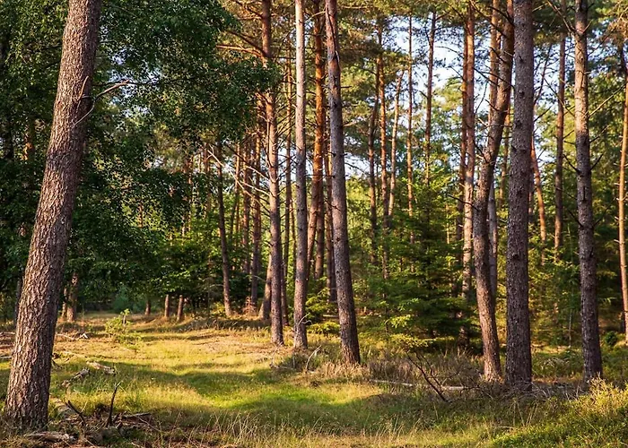 Semesterbostad Mooie Bij Het Bos In De Buurt Voorthuizen