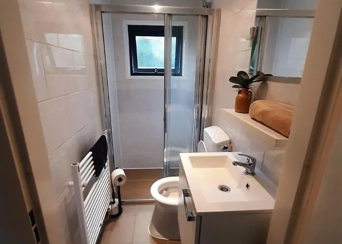 Mooie Bij Het Bos In De Buurt *