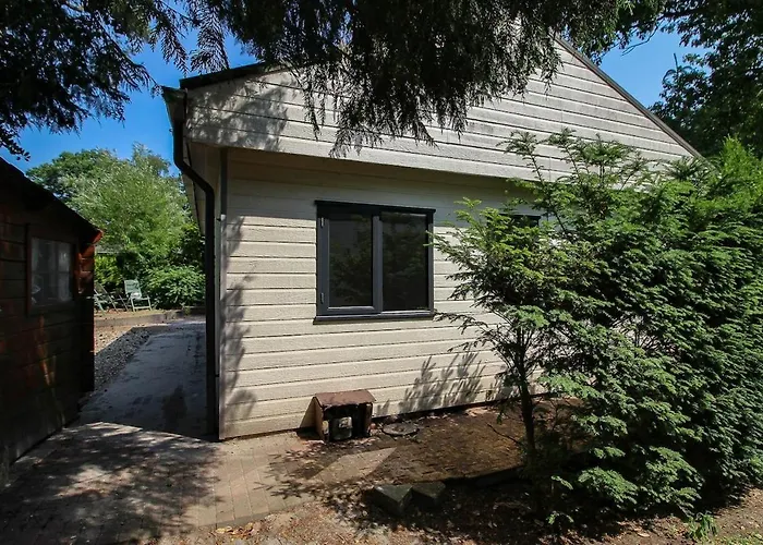 Mooie Bij Het Bos In De Buurt Voorthuizen