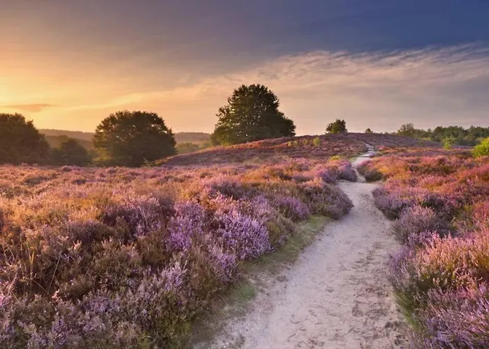 Mooie Bij Het Bos In De Buurt Semesterbostad