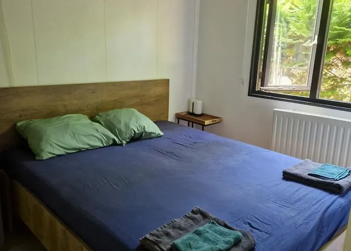 Mooie Bij Het Bos In De Buurt