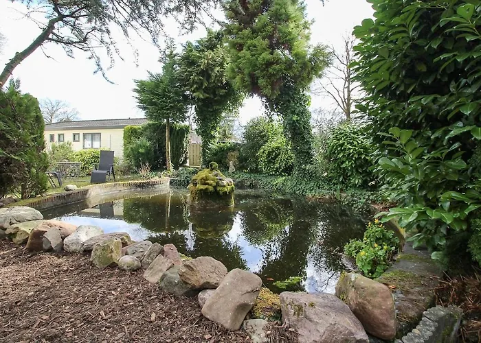 Semesterbostad Mooie Bij Het Bos In De Buurt Voorthuizen