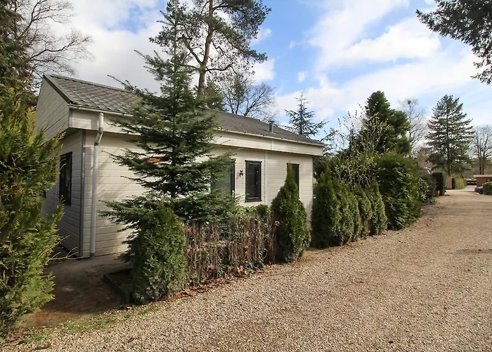 Mooie Bij Het Bos In De Buurt Voorthuizen