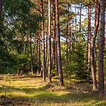 Casa vacanze Mooie Bij Het Bos In De Buurt Voorthuizen