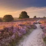 Mooie Bij Het Bos In De Buurt Casa vacanze